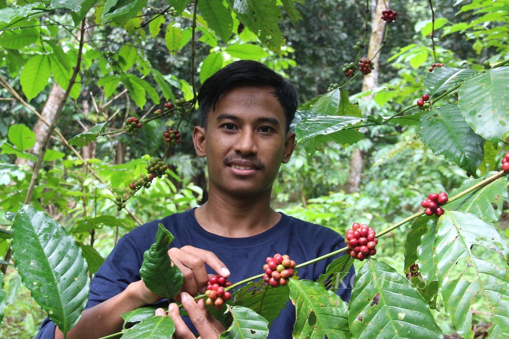 Budiyansyah (30) dan biji kopi lokal di Kubu Raya, Kalimantan Barat. 