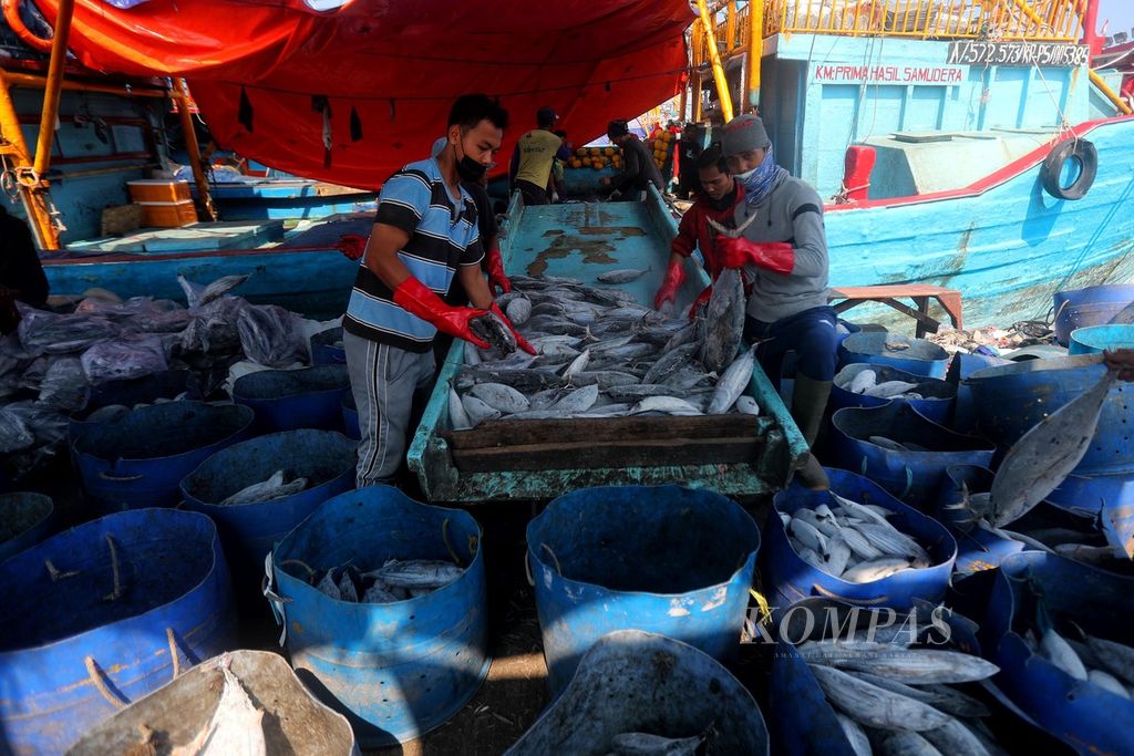 Pekerja membongkar ikan tuna tangkapan dari Samudra Hindia di Pelabuhan Perikanan Samudera Nizam Zachman, Muara Baru, Jakarta, Jumat (17/9/2021). 