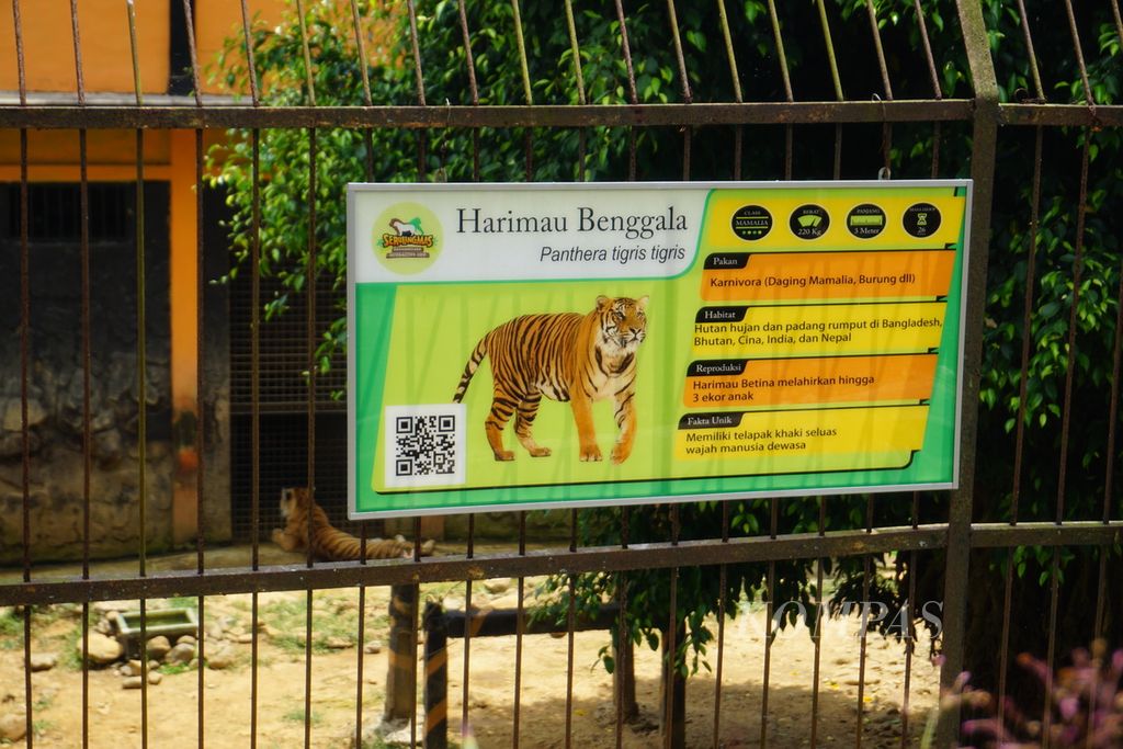 Kandang harimau benggala di Taman Rekreasi Serulingmas, Banjarnegara, Jawa Tengah, Rabu (30/9/2020).