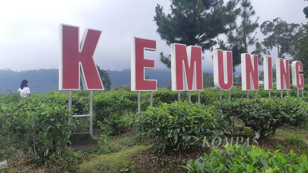 Perkebunan teh Kemuning di lereng Gunung Lawu, Kabupaten Karanganyar, Jawa Tengah, Senin (25/4/2022).