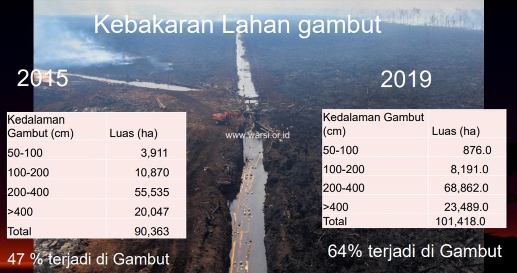 Keparahan dampak kabut asap tahun lalu di Jambi disebut-sebut lebih dahsyat dibandingkan 2015 karena areal gambut yang terbakar lebih luas. Tahun 2019, kebakaran mencapai 64 persen di areal gambut, sedangkan pada 2015 sebesar 47 persen. Kondisi itu menimbulkan kerentanan lingkungan yang lebih parah. Data dirilis Komunitas Konservasi Indonesia (KKI) Warsi.