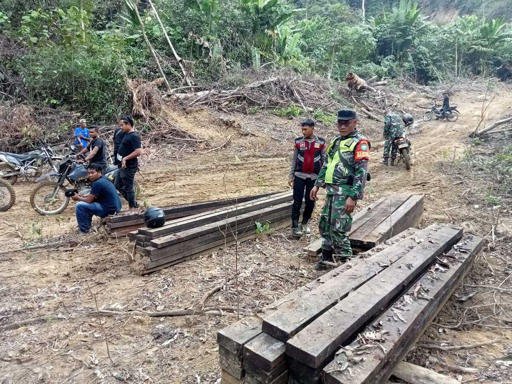 Petugas gabungan menemukan kayu di dalam hutan produksi di Kabupaten Aceh Timur, Senin (29/4/2024). Kayu tersebut diduga hasil pembalakan liar. 