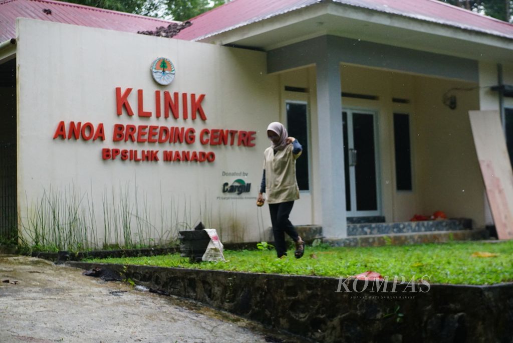 Afifah Hasna, dokter hewan di Anoa Breeding Center (ABC) Manado, berjalan di muka klinik ABC, Rabu (5/7/2023).