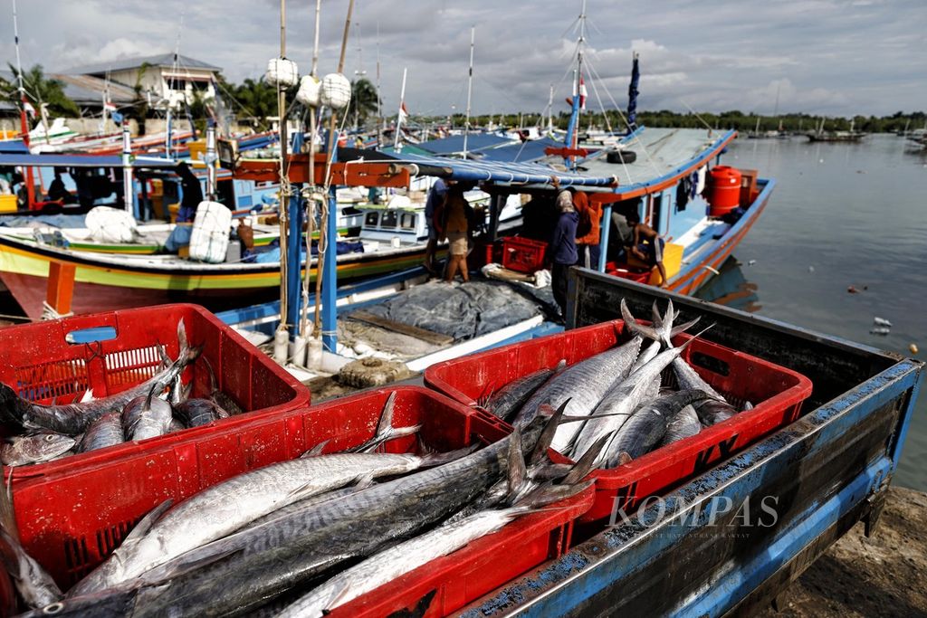 Nelayan sedang membongkar hasil melautnya di Pelabuhan Perikanan Nusantara Tanjung Pandan, Kabupaten Belitung, Bangka Belitung, Jumat (22/7/2022). Dinas Kelautan dan Perikanan pada tahun 2019 mencatat, produksi ikan tangkapan mencapai 223.680 ton.