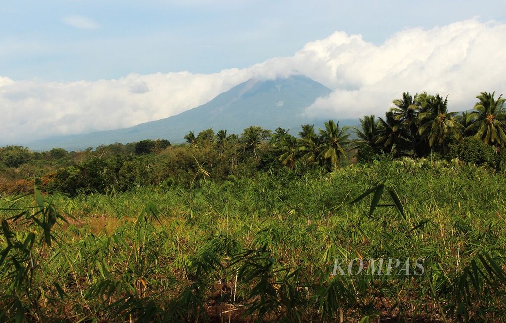 Kebun pembibitan bambu di Desa Mengeruda, Kabupaten Ngada, Nusa Tenggara Timur, dengan latar Gunung Ebulobo, Kamis (23/6/2022).