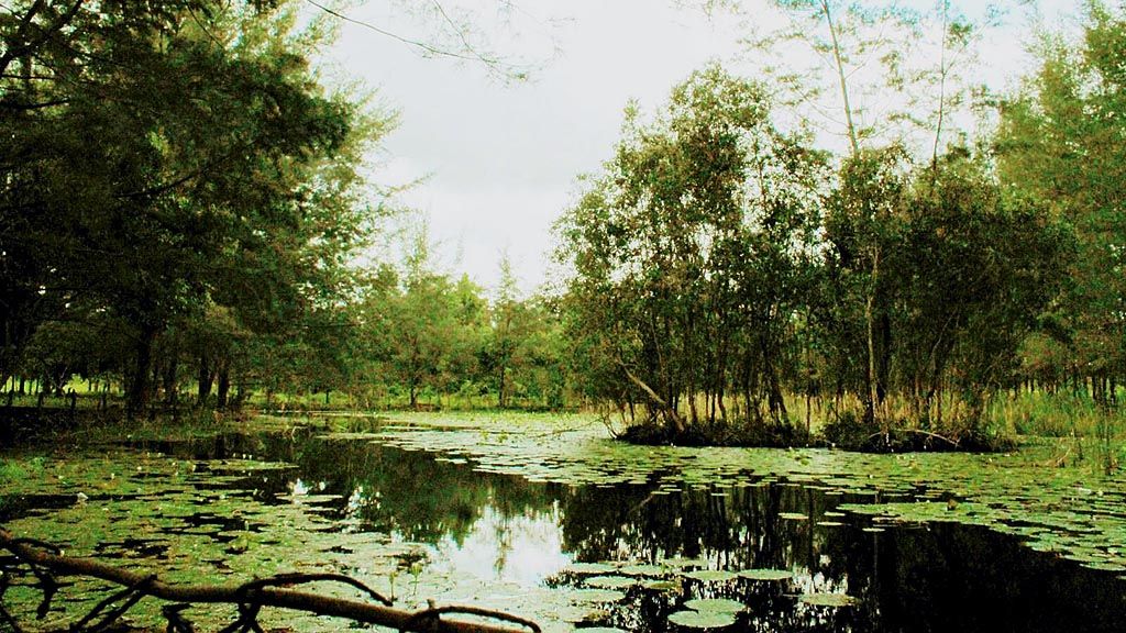 Telaga bekas tambang timah di Bangka Botanic Garden, Bangka, menjadi salah satu pesona wisata Pulau Bangka.