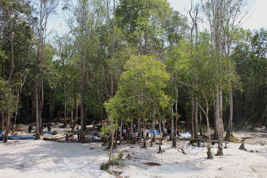 Pengunjung Danum Bahandang, Kota Palangkaraya, berekreasi di hutan kerangas atau hutan berpasir pada Kamis (1/6/2023).