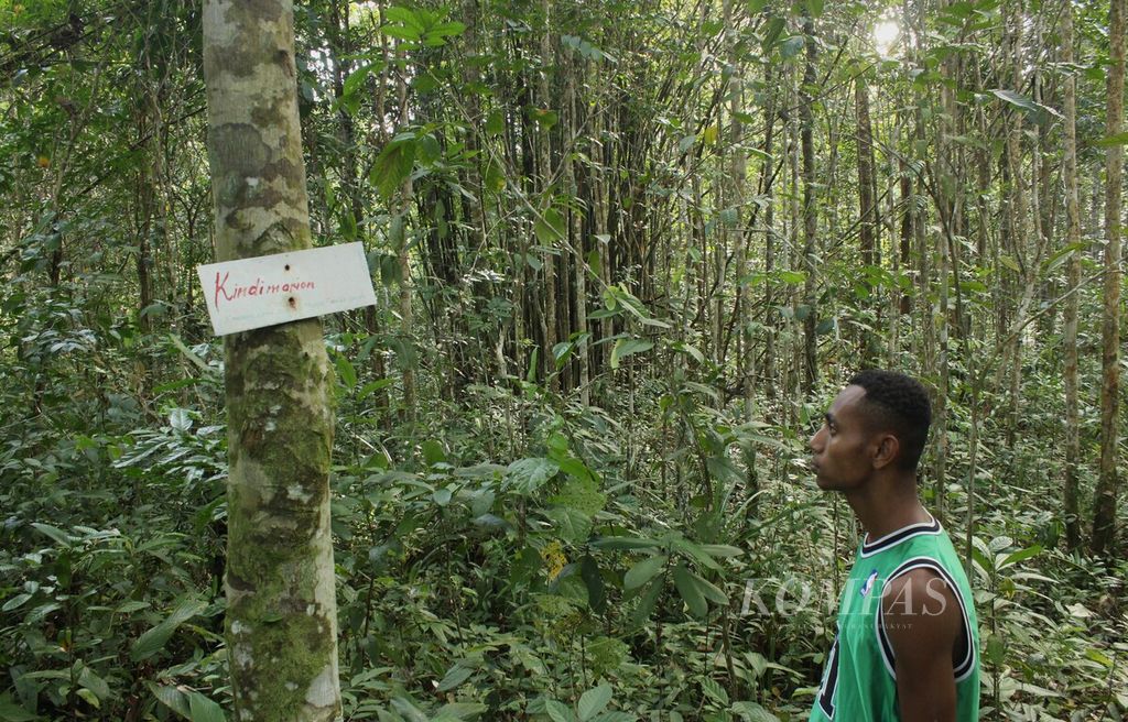 Warga adat suku Tehit melihat tanda pemetaan kawasan adat secara partisipatif di Distrik Konda, Kabupaten Sorong Selatan, Papua Barat Daya, Kamis (27/7/2023). Pemetaan ini diharapkan mendukung pengelolaan hutan secara lestari oleh masyarakat adat.
