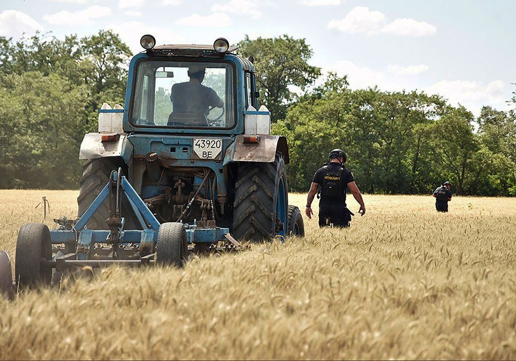 Foto yang dirilis Unit Layanan Darurat Pemerintah Ukraina ini memperlihatkan beberapa petugas tengah menyisir ladang gandum untuk mencari bahan peledak dan ranjau di wilayah Mykolaiv. 