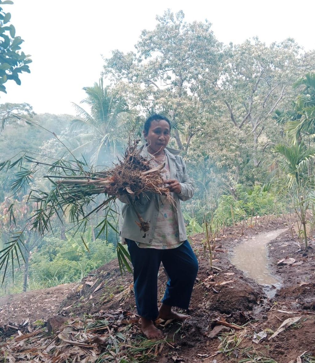 Ursula (48), salah satu anggota mama bambu di Desa Rateroru, Kecamatan Detusoko, Kabupaten Ende, mengambil anakan bambu dari tempat persemaian untuk ditanam.  Mereka melakukan penanaman bambu secara kelompok di areal lereng bukit rawan longsor selama musim hujan berlangsung.