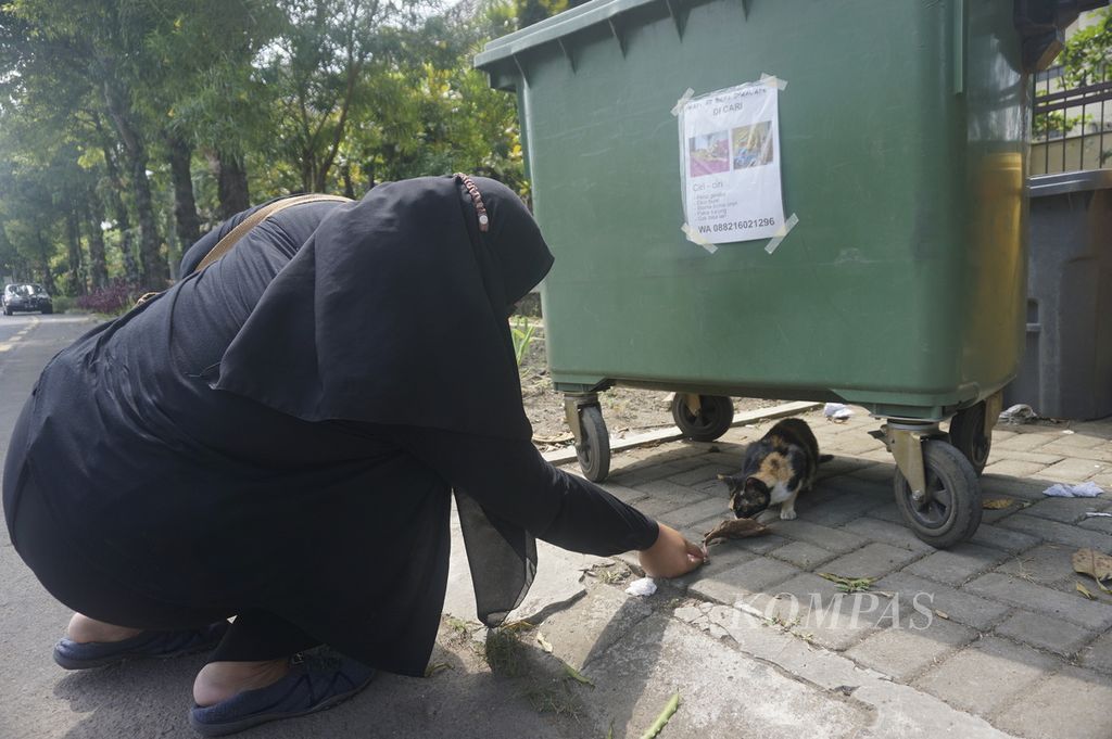 Valerina Ernanda Danisa Mantari dari Komunitas Kucing UGM memberi makan satu kucing yang berada di bawah tempat sampah di halaman Fakultas Matematika dan Ilmu Pengetahuan Alam Universitas Gadjah Mada (UGM), Yogyakarta, Selasa (19/7/2022).