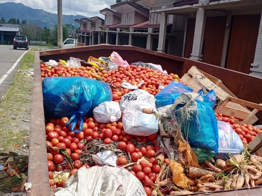 Tomat yang dibuang ke bak sampah di Kabupaten Bener Meriah, Aceh, Senin (26/9/2022). Panen yang melimpah membuat tomat tidak terserap pasar sehingga harga anjlok.