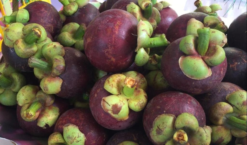 Mangosteen fruit produced by the farming center in Lingsar Village, Lingsar District, West Lombok, West Nusa Tenggara, which was exported to China on Tuesday (12/17/2019).