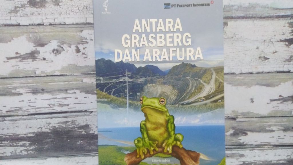 Halaman muka buku berjudul <i>Antara Grasberg dan Arafura.</i>