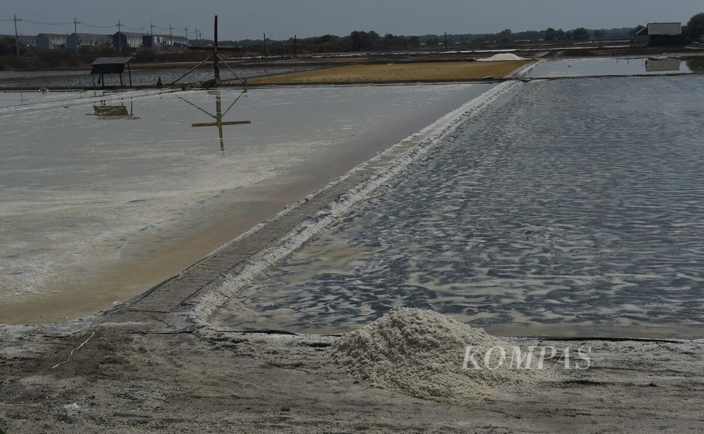 Tambak garam yang rusak oleh hujan di Kecamatan Sedati, Sidoarjo, Rabu (29/11/2023). Hujan yang baru turun beberapa hari terakhir menandai berakhirnya musim produksi garam di kawasan tersebut. Pada tahun ini panen berlimpah karena musim produksi berlangsung dari Juli hingga November.
