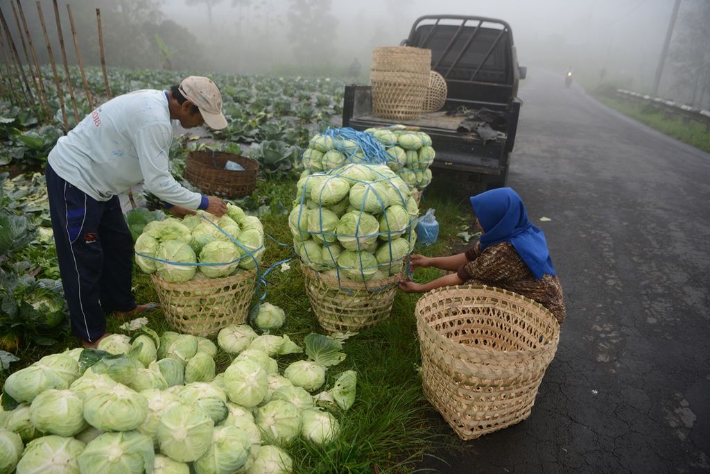 https://cdn-assetd.kompas.id/1p7xISdxDr8-LZDQRor5HWAPbRw=/1024x683/https%3A%2F%2Fkompas.id%2Fwp-content%2Fuploads%2F2019%2F12%2F10acf796-6c46-45ef-bb4f-9b3ddc5e03e4_jpg.jpg