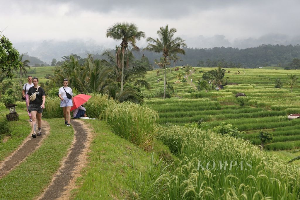 Tourists are walking and enjoying the view in the Jatiluwih tourist area, Penebel District, Tabanan Regency, Bali, on Thursday (9/5/2024). The Jatiluwih tourist area will be one of the places visited by delegates of the 10th World Water Forum, which will be held in Bali on 18-25 May 2024.