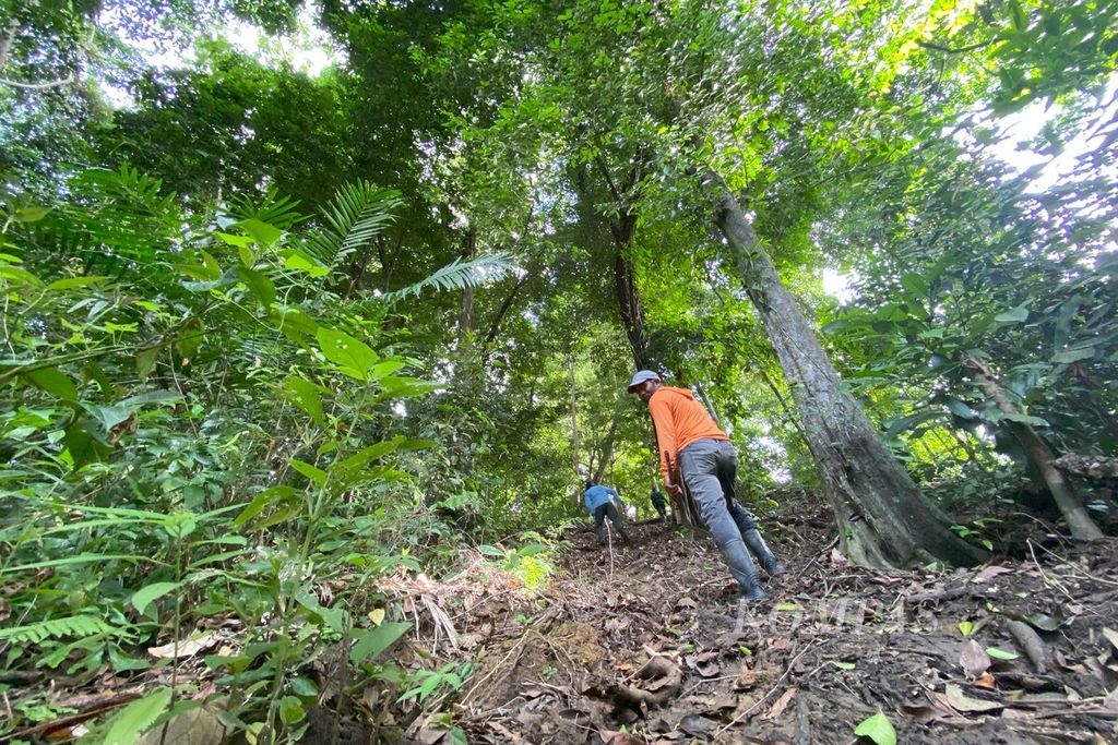 Kawasan hutan adat Mukim Blang Birah, Kecamatan Peudada, Kabupaten Bireuen, Provinsi Aceh, Rabu (15/11/2023).