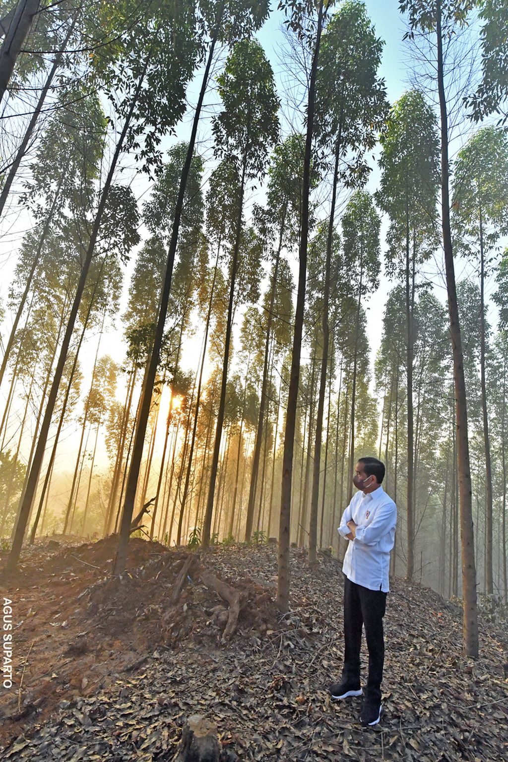 Presiden Joko Widodo dalam masa perkemahan dekat Ibu Kota Nusantara di Kalimantan Timur, Selasa (15/3/2022)