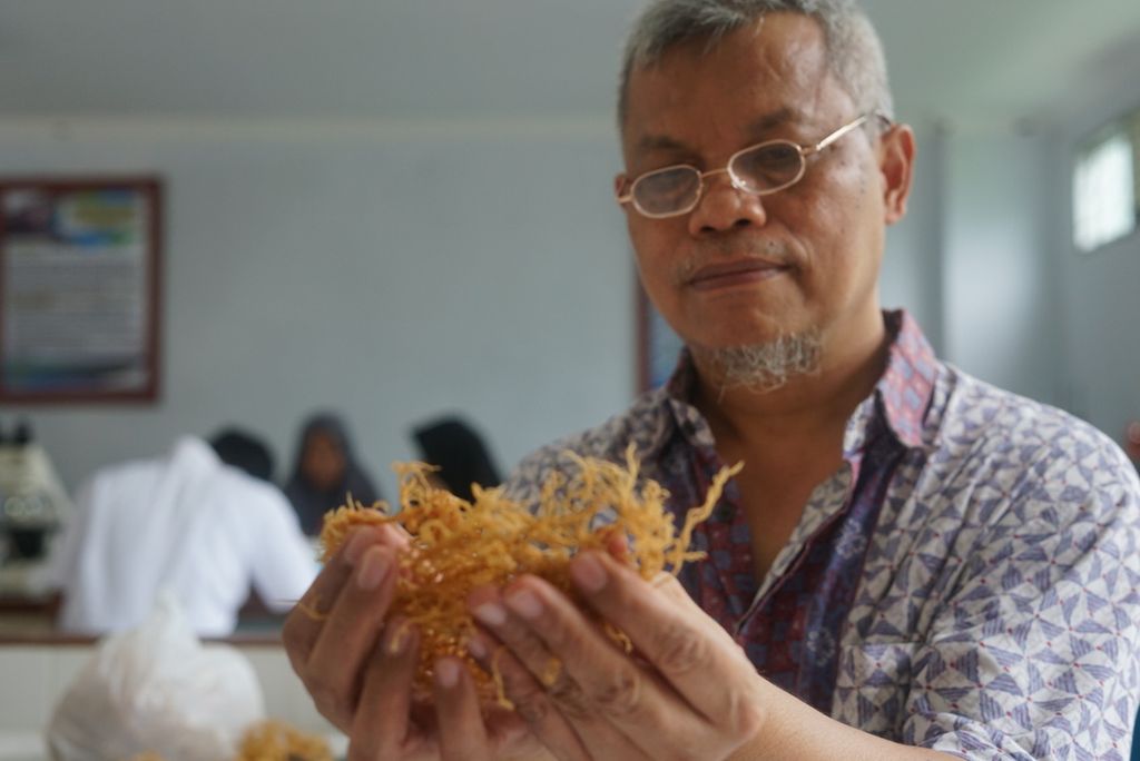 Guru Besar Fakultas Perikanan dan Ilmu Kelautan Universitas Halu Oleo La Ode Aslan menunjukkan sampel rumput laut varietas baru yang ia kembangkan bersama tim, di Kendari, Sulawesi Tenggara, Rabu (19/2/2020). 
