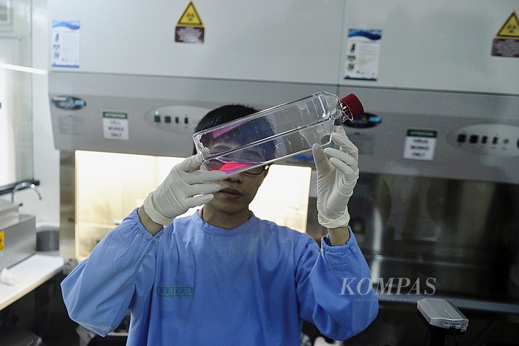 Penelitian dengue di Laboratorium Unit Dengue Lembaga Eijkman, Jakarta, beberapa waktu lalu.