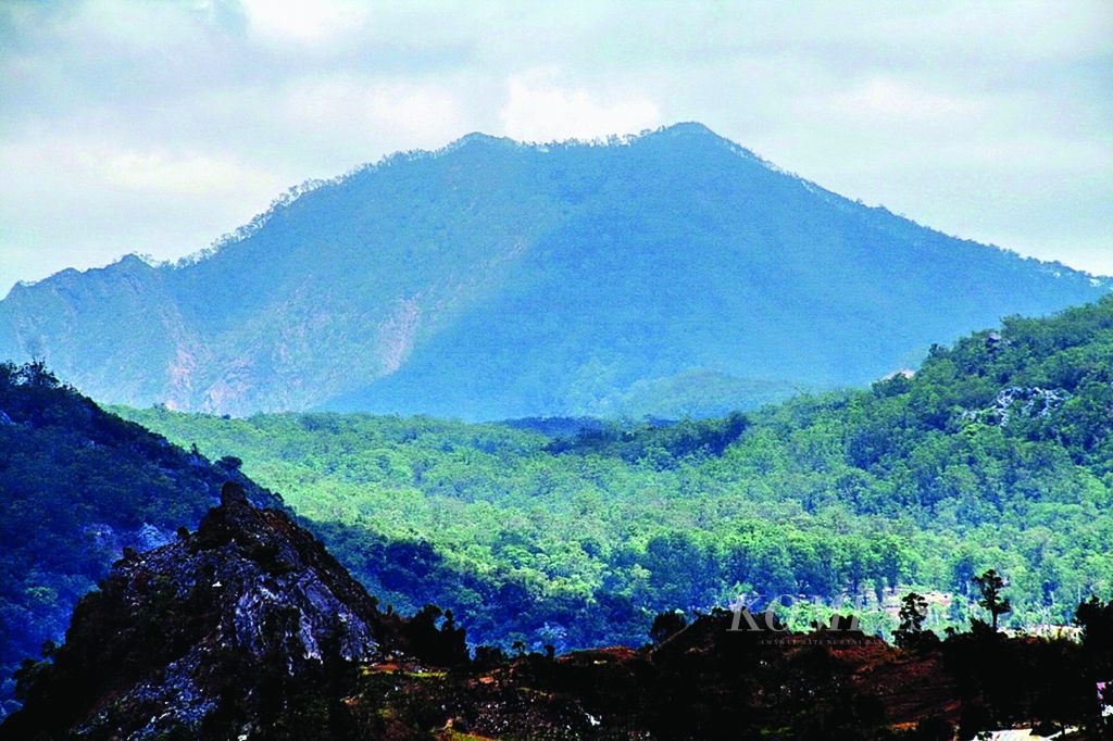Kawasan Cagar Alam Gunung Mutis-Timau di Timor, NTT, Sabtu (10/11/2013). 