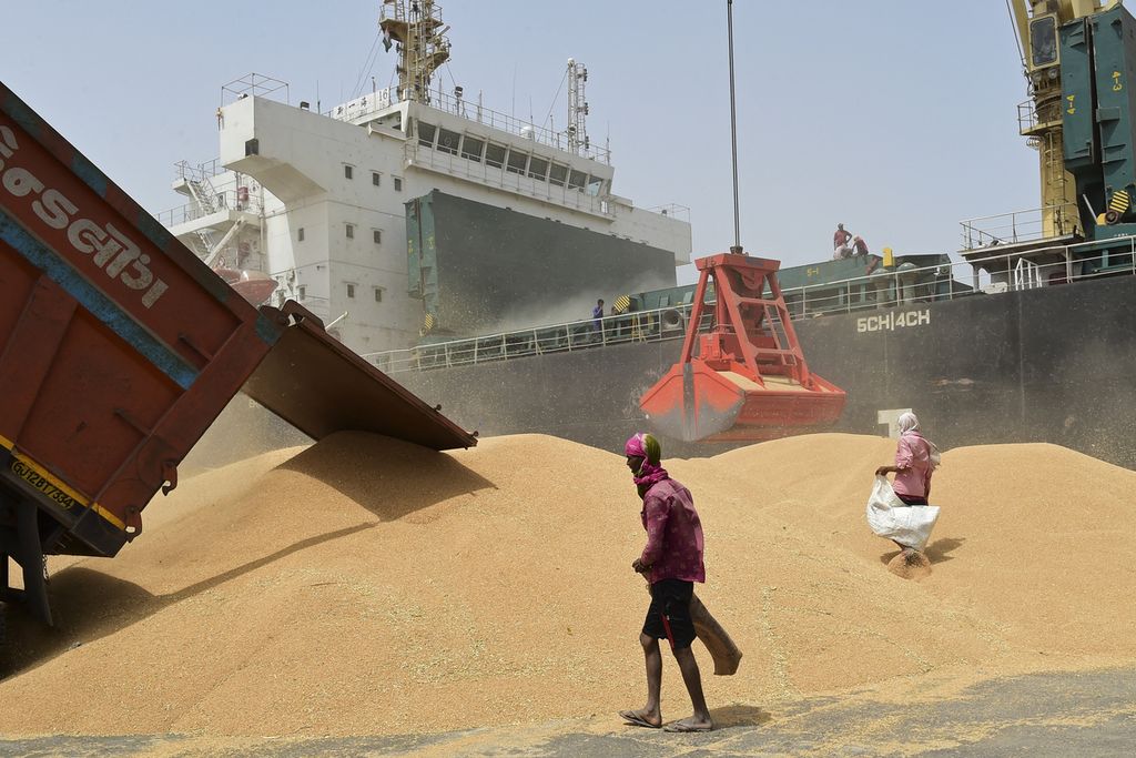 Aktivitas pekerja saat pemuatan gandum ke kapal di pelabuhan Deendyal Port Authority di Kandla, Negara Bagian Gujarat, India, Rabu (18/5/2022). India merupakan produsen terbesar kedua penghasil gandum dunia yang pekan lalu mengeluarkan kebijakan larangan ekspor gandum karena produksinya yang menurun akibat gelombang panas.
