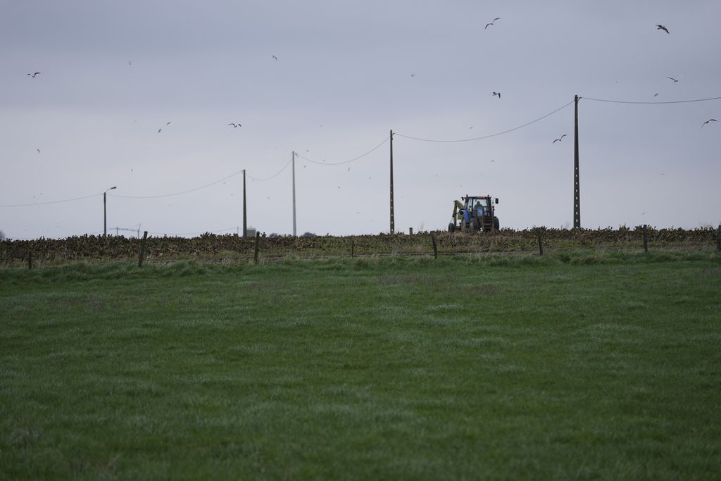 Seorang petani menjalankan traktor di sebuah ladang di West Flanders, Belgia, 21 Februari 2024. 