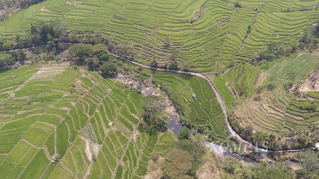 Lahan pertanian yang ditanami tanaman padi membentang di persawahan Dusun Ngampel, Kecamatan Mojogedang, Kabupaten Karanganyar, Jawa Tengah, Selasa (28/9/2023). Di tengah kekeringan di sejumlah wilayah di Jateng, para petani di Dusun Ngampel tetap menanam padi. Menurut warga, air di daerah tersebut masih dapat mengaliri persawahan. Badan Pusat Statistik mencatat, pada 2022 Kabupaten Karanganyar menyumbang 159.610 ton produksi padi dan beras di Jateng.