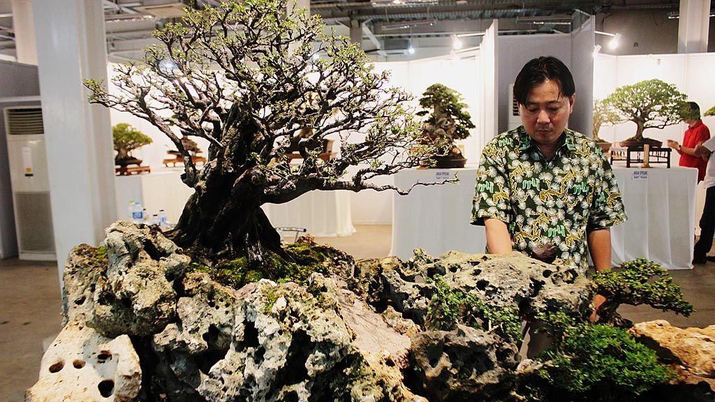 Karya seni bonsai disertakan dalam pameran Standing with The Masters, 17-21 Januari 2018 di Jababeka Convention Center, Cikarang, Jawa Barat.