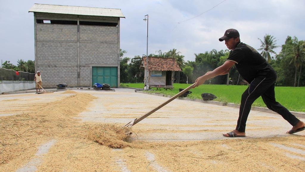 Organic rice is produced by farmers in East Lombok village, Wonosari sub-district, Bondowoso district, East Java. The organic rice has attracted attention from Japan, Canada, Singapore and Malaysia.