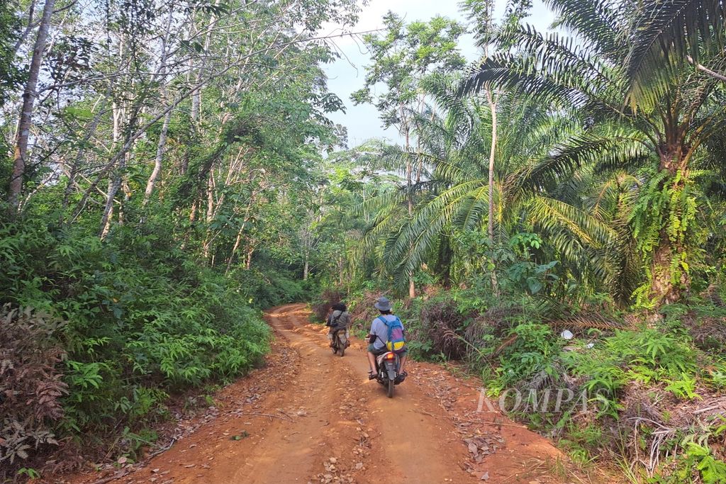 Kondisi jalan tanah di tengah kebun karet dan sawit masyarakat di Desa Talang Arah, Kecamatan Malin Deman, Kabupaten Mukomuko, Provinsi Bengkulu, Sabtu (3/6/2023).