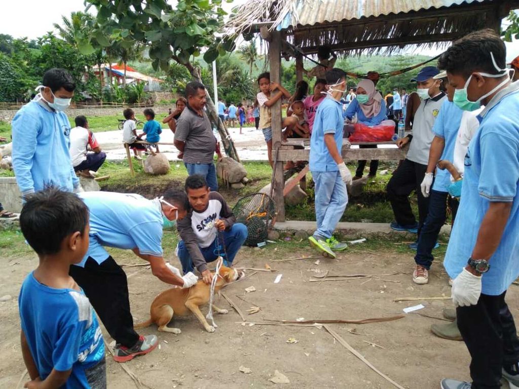 Pemilik anjing di Desa Marada, Kecamatan Hu'u, Kabupaten Dompu. Nusa Tenggara Barat, membawa hewan piaraannya untuk diberikan vaksinasi antirabies oleh petugas Dinas Peternakan dan Kesehatan Hewan Kabupaten Dompu.