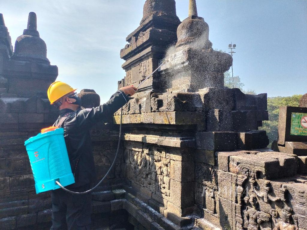 Minyak atsiri sereh wangi disemprotkan petugas ke batuan Candi Borobudur, Kabupaten Magelang, Jawa Tengah, Selasa (21/6/2022). Minyak atsiri sereh menjadi inovasi bahan alam pengganti gerbisida yang efektif digunakan untuk membersihkan lumut dan jamur.