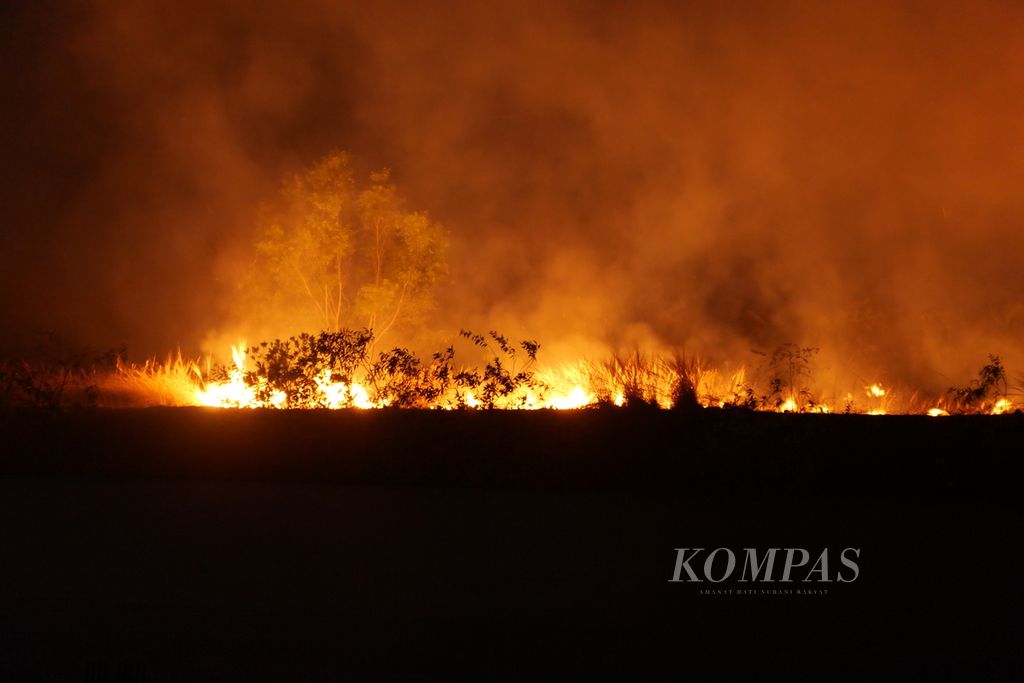 A land fire occurred on the side of the road across from Kilometer 193 of the Lampung-South Sumatra Toll Road in Bujung Sari Marga, Pagar Dewa District, West Tulang Bawang Regency, Lampung Province, on Monday (23/10/2023).