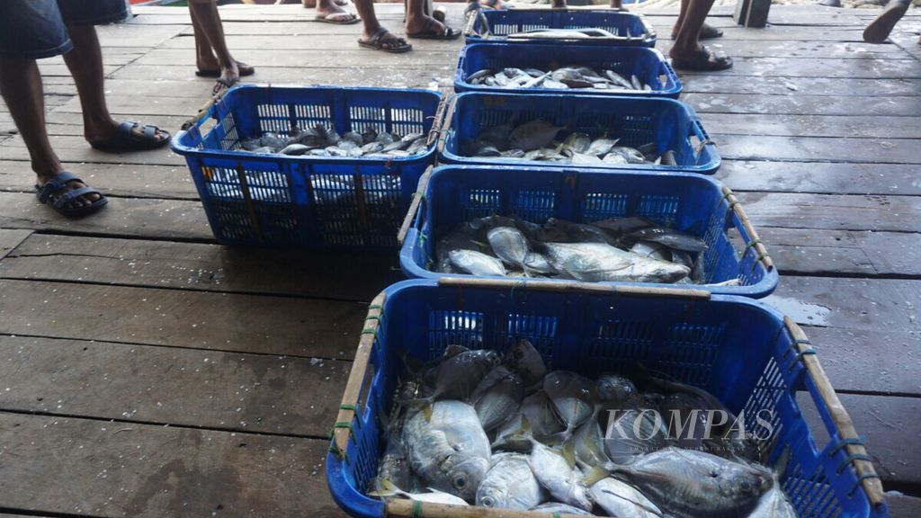 Ikan tangkapan nelayan di pesisir Teluk Lampung, Kota Bandar Lampung, Lampung, pertengahan 2020.