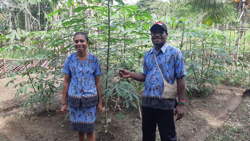 Ketua Kelompok Perempuan Adat Ingger Wewal, Novilla Maria Aru bersama suaminya, Roby Digan, di kebun percontohan Sekolah Lapang Kire-Kire Syal Gwibin Gol di Kampung Sawesuma, Kabupaten Jayapura.