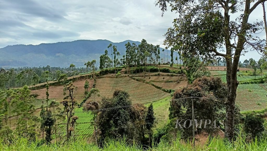 Lahan pertanian di Kecamatan Kertasari, Kabupaten Bandung, Minggu (5/2/2023). Penduduk sekitar memanfaatkan lereng yang curam di banyak perbukitan di kecamatan ini untuk menanam berbagai sayur seperti kentang dan kol. 