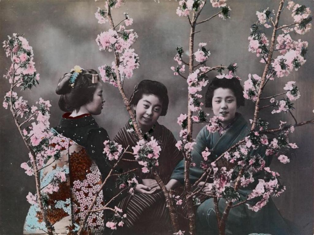 Perempuan Jepang di antara bunga sakura yang bermekaran.