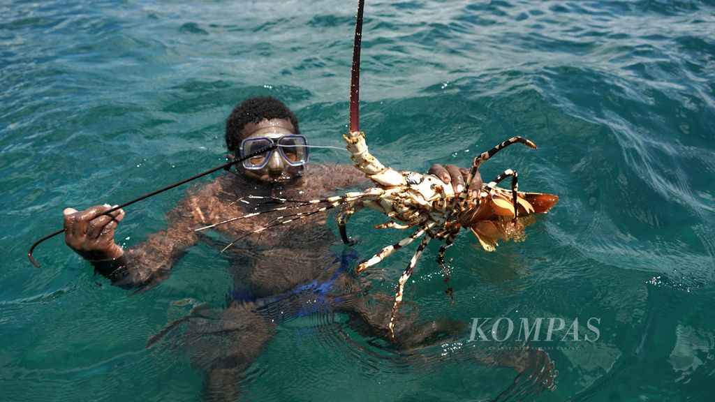 Penyelam lobster menunjukkan hasil tangkapannya di perairan Kampung Malaumkarta, Distrik Makbon, Kabupaten Sorong, Papua Barat Daya, Selasa (6/6/2023). Nelayan setempat masih menggunakan peralatan tradisional saat berburu lobster untuk menjaga keberlangsungan sumber daya alam. 