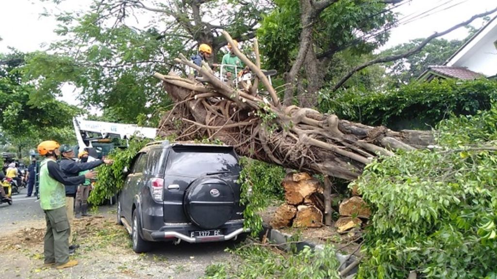  Hujan deras disertai angin kencang menyebabkan pohon tumbang menimba sebuah mobil, pada Senin (2/11/2020). Dari catatan BPBD Kota Bogor, ada empat tempat pohon tumbang seperti di Jalan Juanda (Bogor Tengah), Jalan Ahmad Yani (Tanah Sareal), Jalan Dadali (Tanah Sareal) dan di kawasan Tajur (Bogor Selatan). 