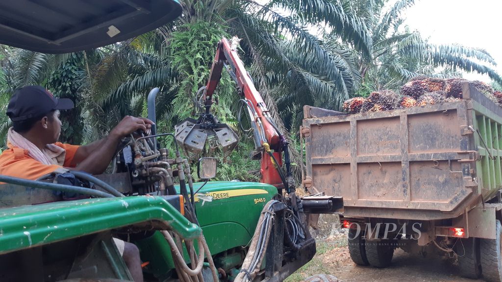 Salah satu buruh sawit asal Nusa Tenggara Timur menggunakan alat baru untuk angkut sawit pascapanen ke atas bak truk, Senin (24/7/2023).