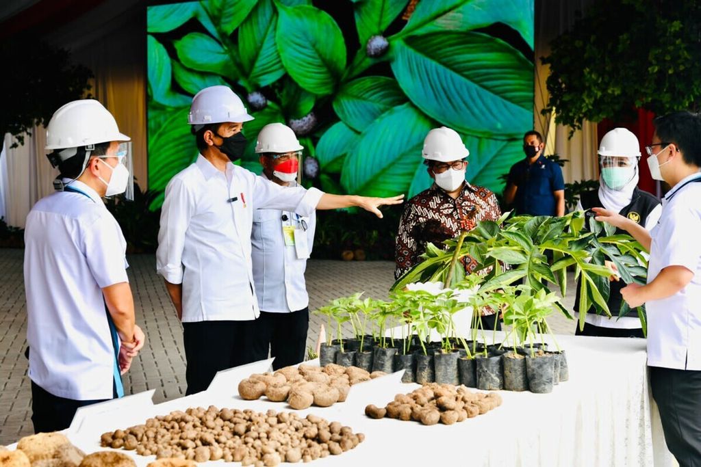 Presiden Joko Widodo mengunjungi PT Asia Prima Konjac, salah satu pabrik pengolahan porang di Kabupaten Madiun, Provinsi Jawa Timur, Kamis (19/8/2021).