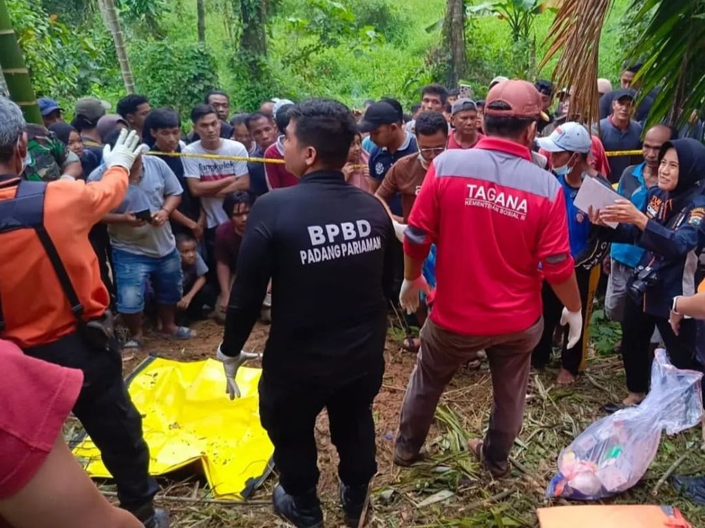 Suasana proses evakuasi terhadap jenazah Nia Kurnia Sari (18), pedagang gorengan, yang ditemukan terkubur di areal hutan di Korong Pasa Surau, Nagari Guguak, Kecamatan 2 x 11 Kayu Tanam, Kabupaten Padang Pariaman, Sumatera Barat, Minggu (8/9/2024). 