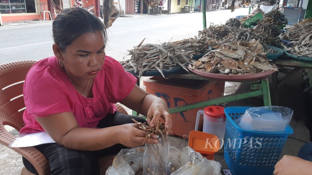 Berbagai jenis ikan asin dijual di kampung nelayan Malebero, Kota Bengkulu, pada Rabu (15/11/2023).