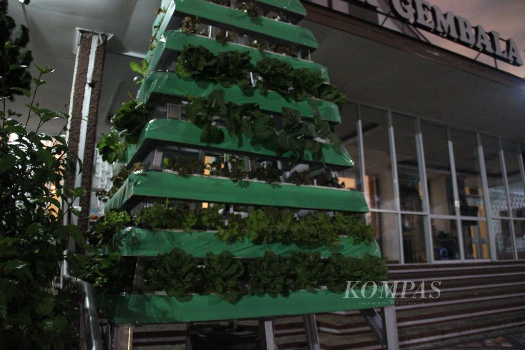 Umat di Paroki Gembala Baik Pontianak, Kalimantan Barat, membuat pohon Natal dengan tema hidroponik. Sayur sudah mulai ditanam di instalasi hidroponik, Senin (19/12/2022). Menjelang Natal, pohon Natal tersebut akan diberi hiasan lampu.