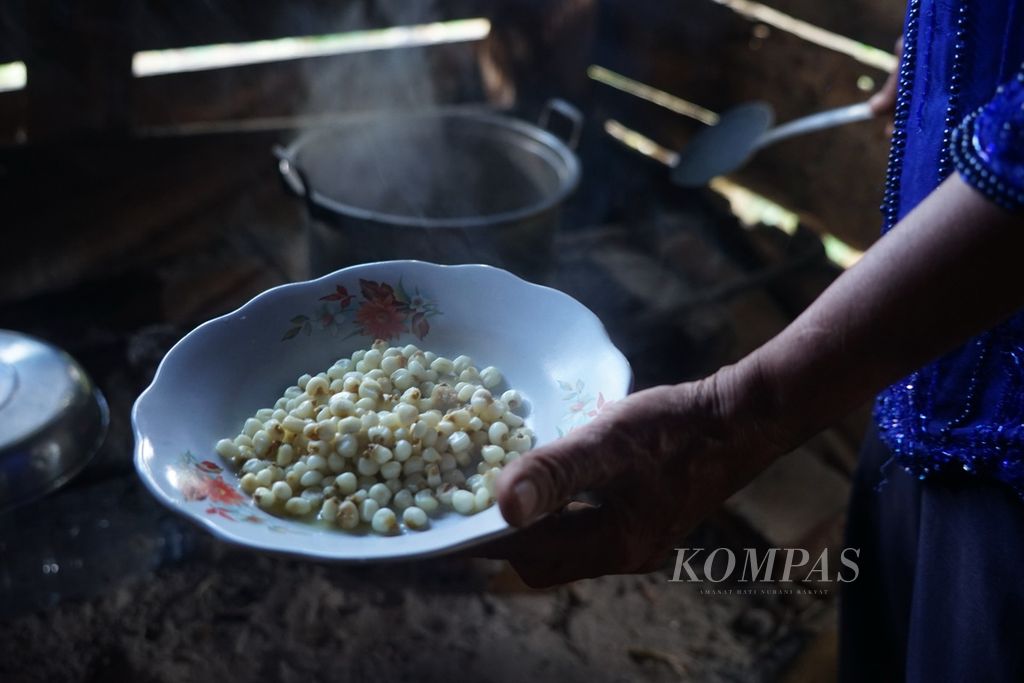 Wa Kalina (55) menunjukkan jagung tua yang telah diolah menjadi kambose di Kelurahan Wamelai, Lawa, Muna Barat, Sulawesi Tenggara, Sabtu (26/8/2023). Jagung masih menjadi bagian erat dalam konsumsi masyarakat sehari-hari.