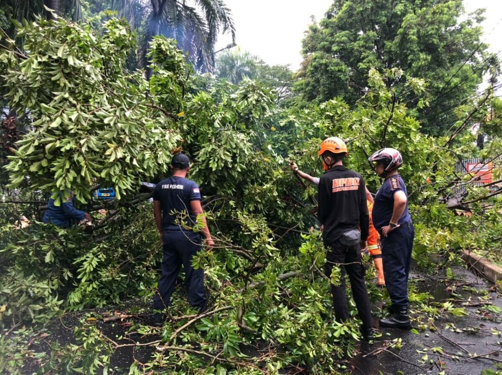 Ilustrasi. Petugas Badan Penanggulangan Bencana Daerah (BPBD) Kota Bogor, Senin (18/10/2021), membersihkan pohon tumbang akibat hujan deras disertai angin kencang pada Minggu (17/10/2021). 