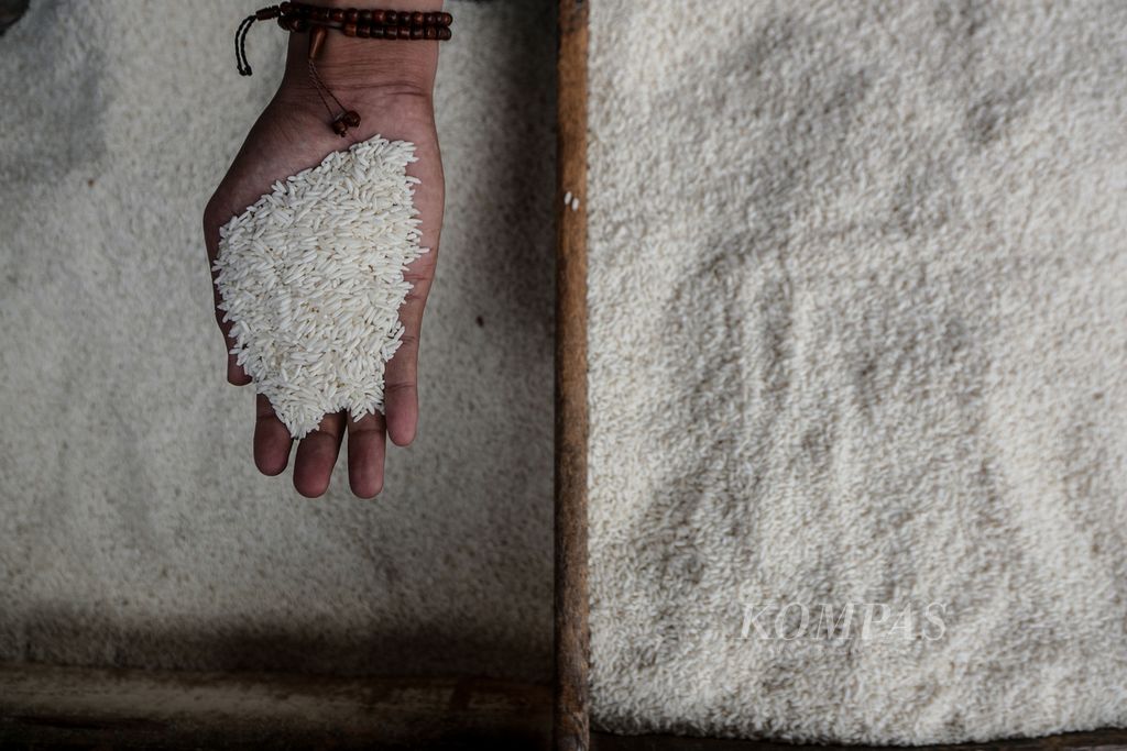 Tangan seorang pedagang memegang beras di tokonya di tengah pantauan harga beras di Pasar Perumnas Klender, Jakarta Timur, Senin (28/8/2023). Perum Bulog melakukan gerebek pasar untuk memonitor ketersediaan beras di pasar tradisional. Harga beras medium naik Rp 40 ke Rp 12.210 per kilogram dan beras premium naik Rp 20 ke Rp 13.880 per kilogram.