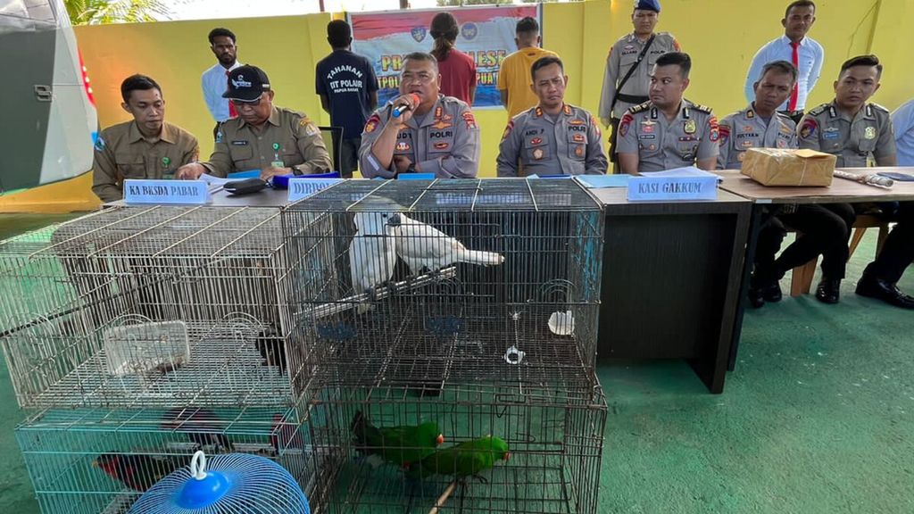 Direktur Kepolisian Perairan dan Udara Polda Papua Barat Komisaris Besar Budi Utomo menyampaikan rilis terkait penggagalan penjualan 10 burung yang dilindungi di Kota Sorong, Papua Barat Daya, Senin (3/7/2023).